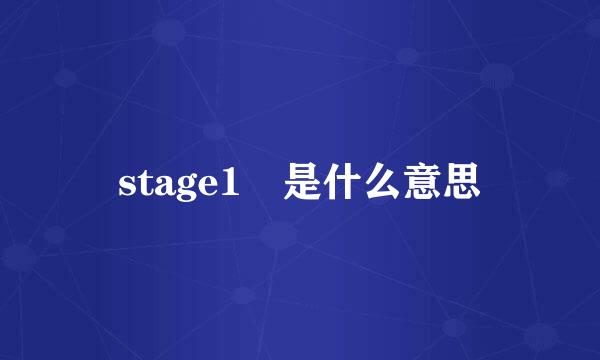 stage1 是什么意思