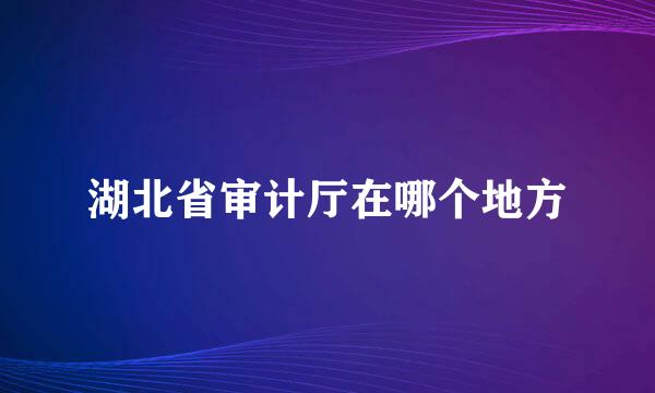 湖北省审计厅在哪个地方