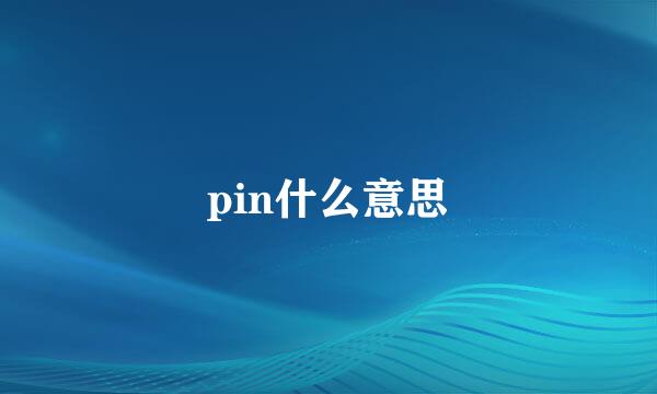 pin什么意思