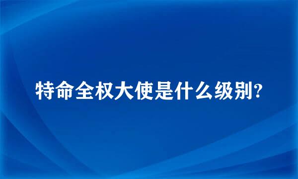 特命全权大使是什么级别?