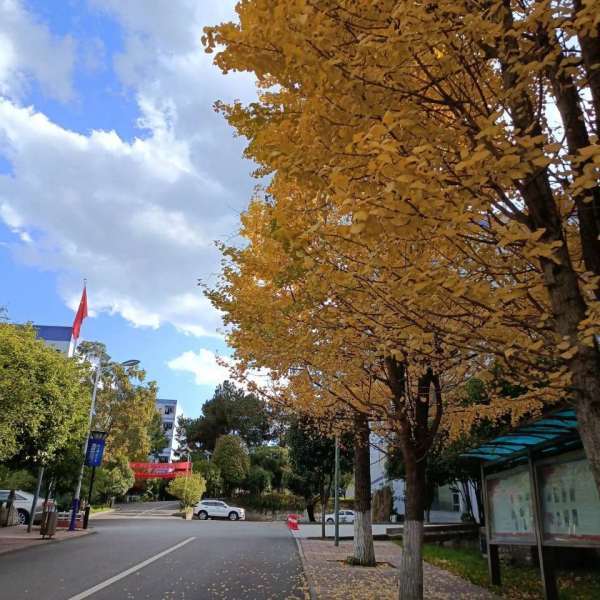 贵阳人文科技学院怎么样