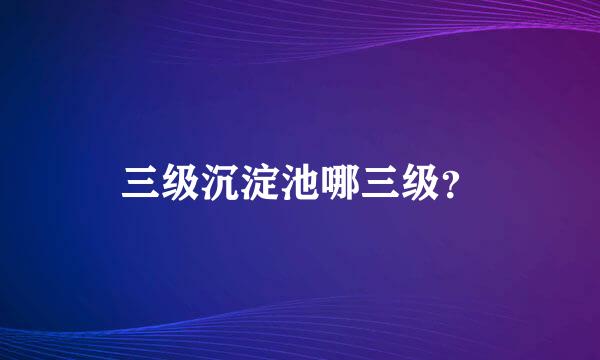 三级沉淀池哪三级？