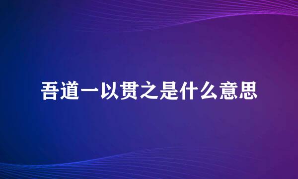 吾道一以贯之是什么意思