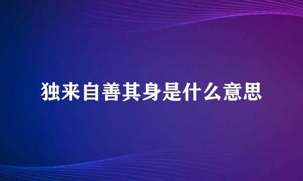 独来自善其身是什么意思