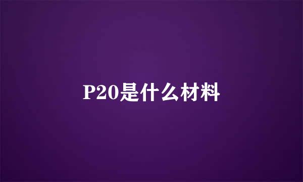 P20是什么材料