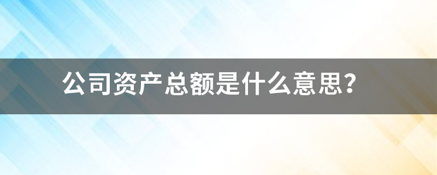 公司资产来自总额是什么意思？