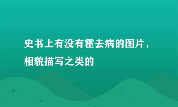 史书上有没有霍去病的图片，相貌描写之类的