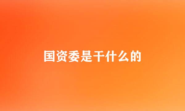 国资委是干什么的