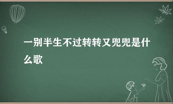 一别半生不过转转又兜兜是什么歌