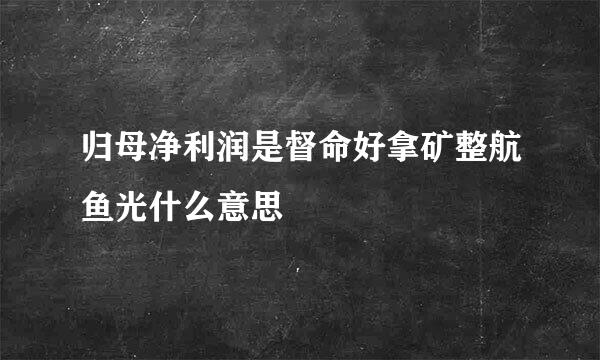 归母净利润是督命好拿矿整航鱼光什么意思