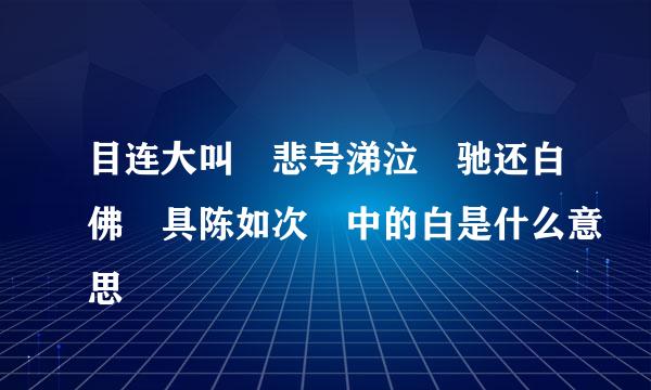 目连大叫 悲号涕泣 驰还白佛 具陈如次 中的白是什么意思