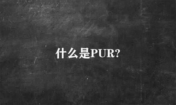 什么是PUR?