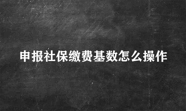 申报社保缴费基数怎么操作