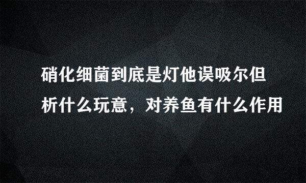 硝化细菌到底是灯他误吸尔但析什么玩意，对养鱼有什么作用