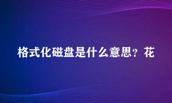 格式化磁盘是什么意思？花