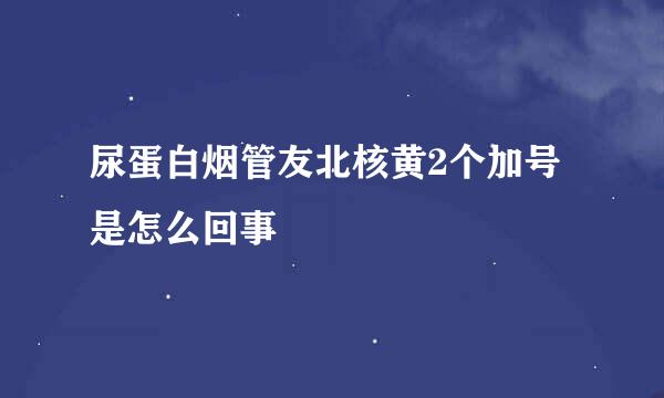 尿蛋白烟管友北核黄2个加号是怎么回事