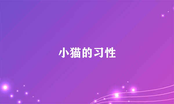 小猫的习性