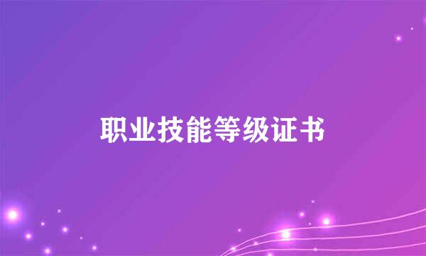 职业技能等级证书