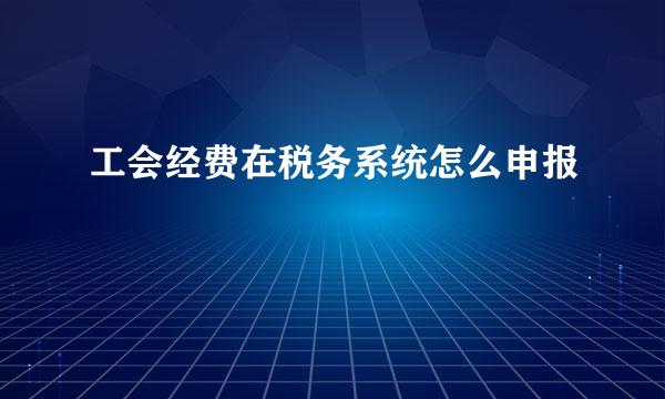 工会经费在税务系统怎么申报