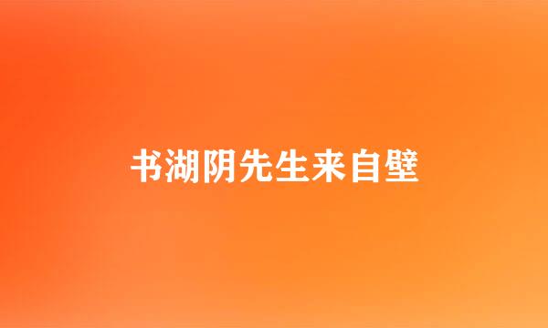 书湖阴先生来自壁