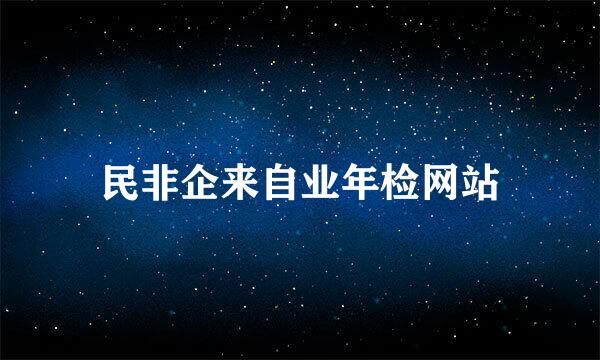 民非企来自业年检网站