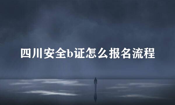 四川安全b证怎么报名流程