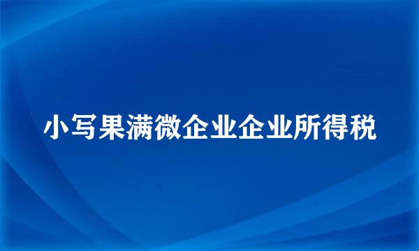 小写果满微企业企业所得税