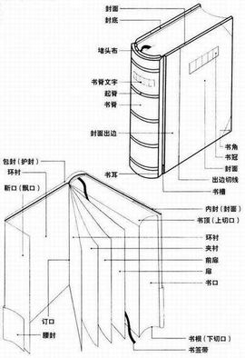 扉页是什么意思