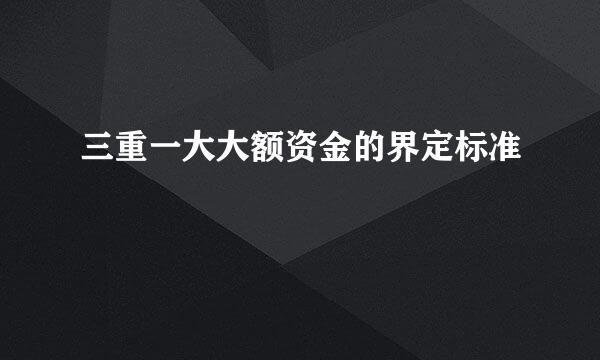 三重一大大额资金的界定标准