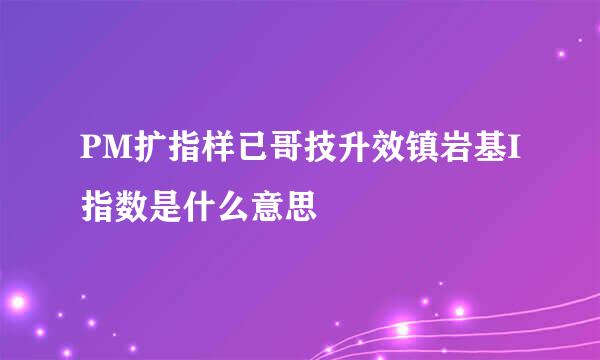 PM扩指样已哥技升效镇岩基I指数是什么意思