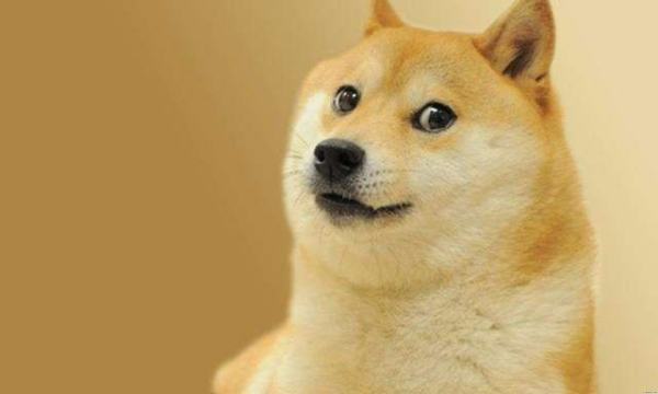 doge表情是什么意思?