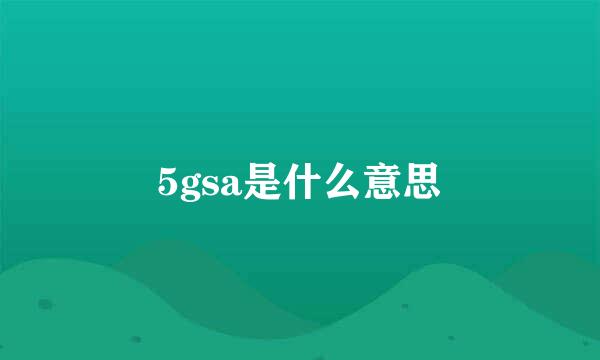 5gsa是什么意思