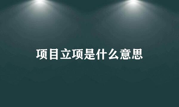 项目立项是什么意思