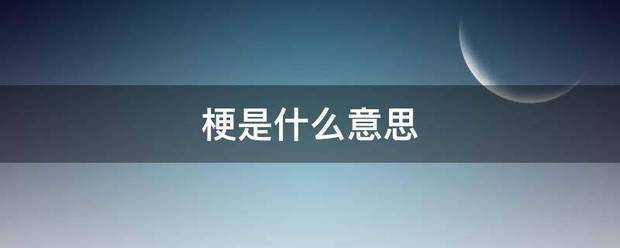 梗是什么意思