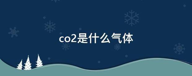 co2是什么气体