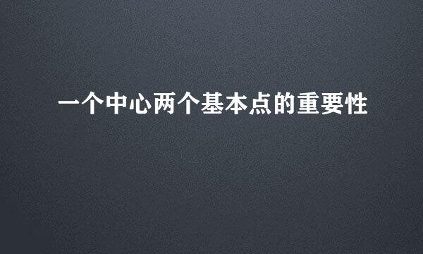 一个中心两个基本点的重要性