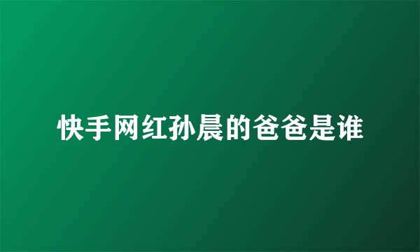 快手网红孙晨的爸爸是谁