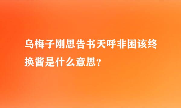 乌梅子刚思告书天呼非困该终换酱是什么意思？