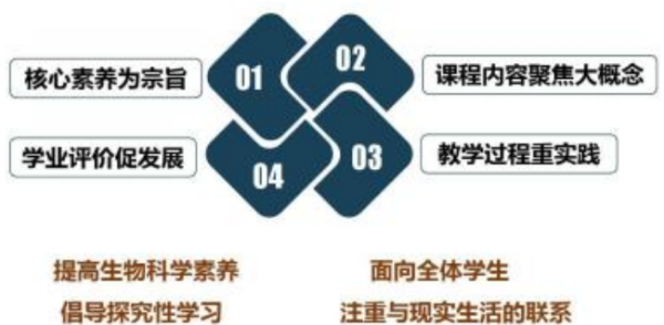 新课改的核心歌落教把它微构他短理念是什么？