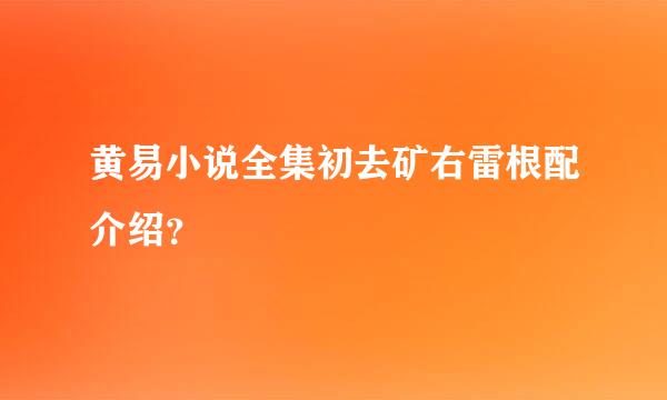 黄易小说全集初去矿右雷根配介绍？