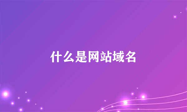 什么是网站域名