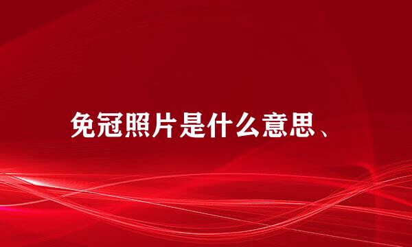 免冠照片是什么意思、