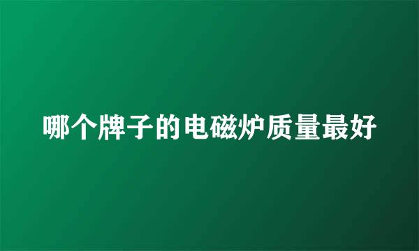 哪个牌子的电磁炉质量最好