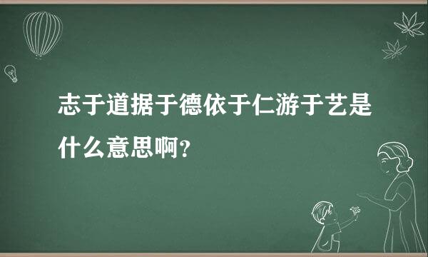 志于道据于德依于仁游于艺是什么意思啊？