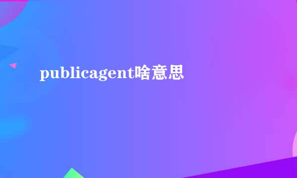 publicagent啥意思