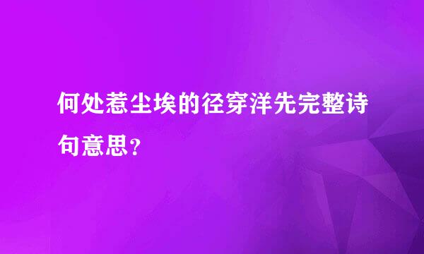 何处惹尘埃的径穿洋先完整诗句意思？