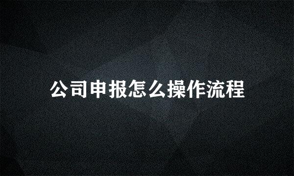 公司申报怎么操作流程