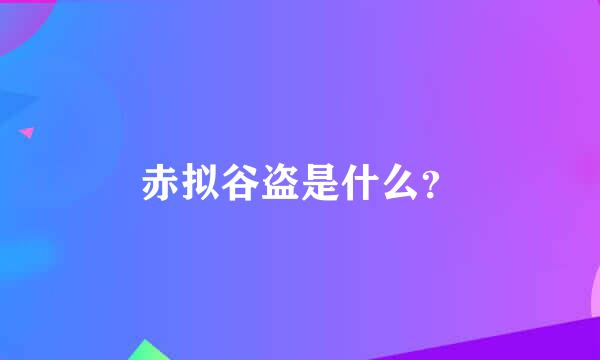 赤拟谷盗是什么？