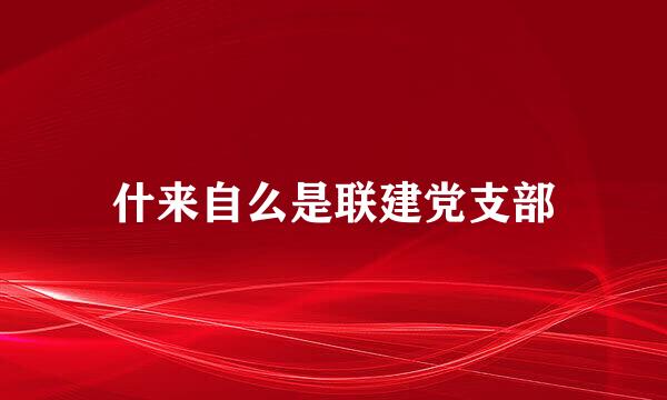 什来自么是联建党支部