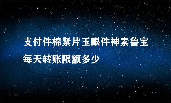 支付件棉紧片玉眼件神素鲁宝每天转账限额多少